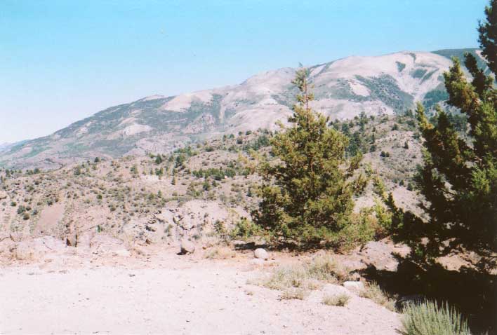 Sonora Pass Photo