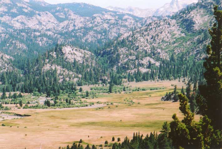 Sonora Pass Photo