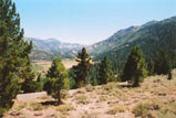 Sonora Pass Photo