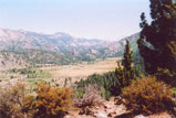 Sonora Pass Photo