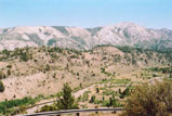 Sonora Pass Photo