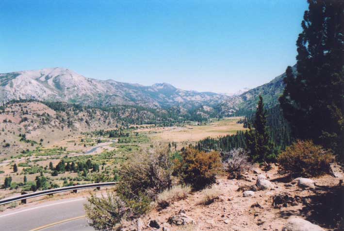 Sonora Pass Photo