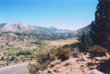 Sonora Pass Photo