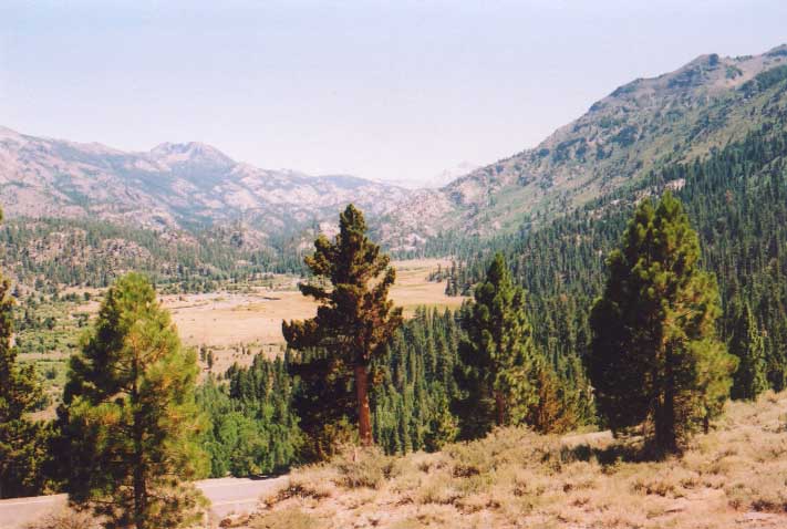 Sonora Pass Photo