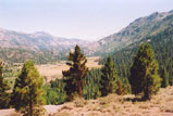 Sonora Pass Photo