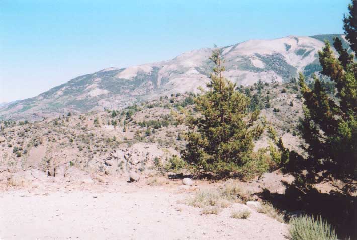 Sonora Pass Photo