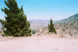 Sonora Pass Photo