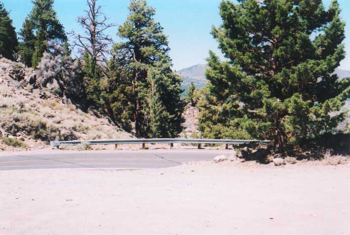 Sonora Pass Photo