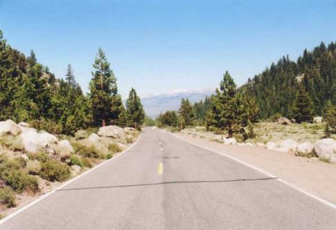 Sonora Pass Photo