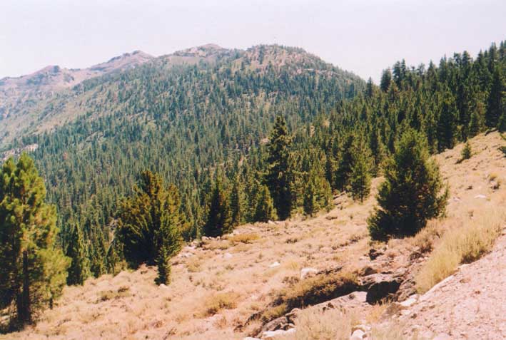 Sonora Pass Photo