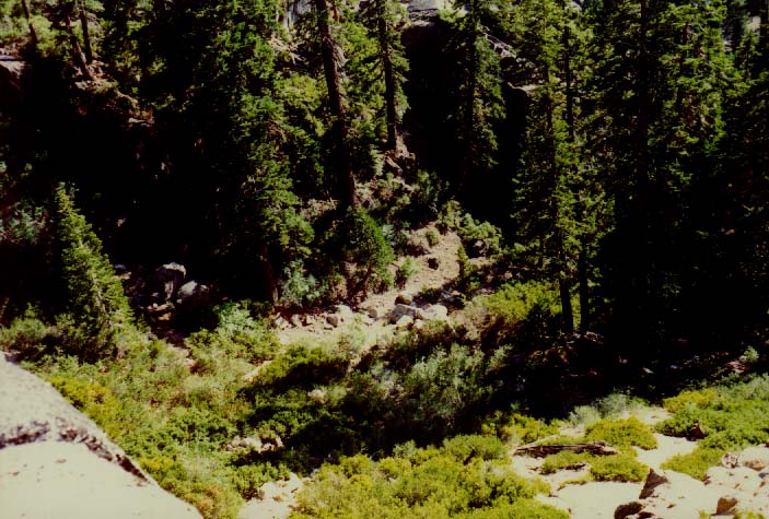 Sonora Pass Photo