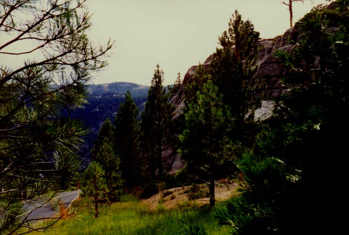 Sonora Pass Photo