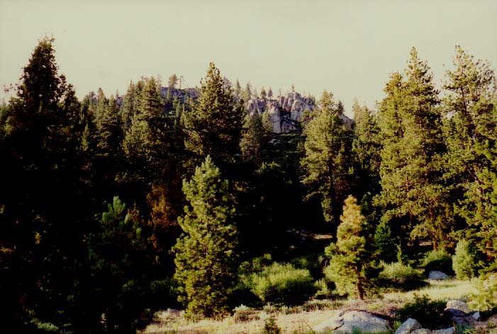 Sonora Pass Photo