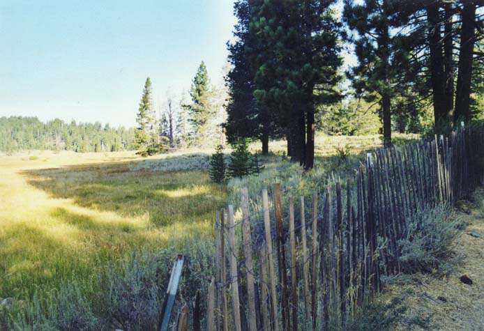 Spooner Meadow Photo - 2