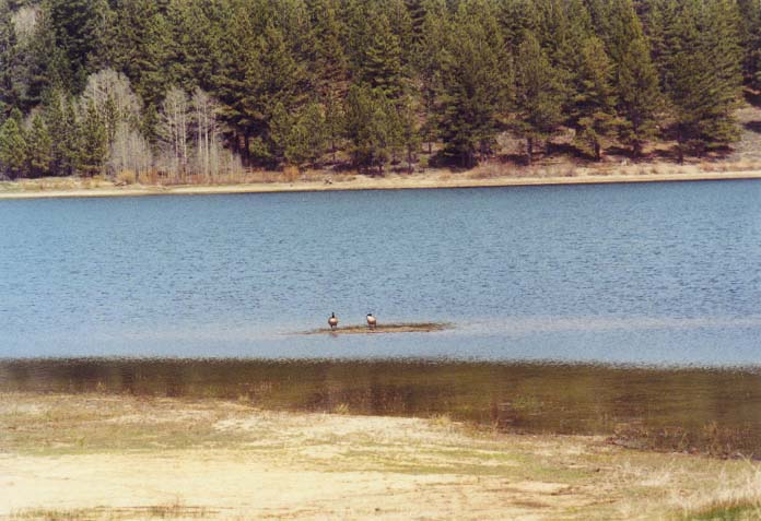 Spooner Lake Photo 22