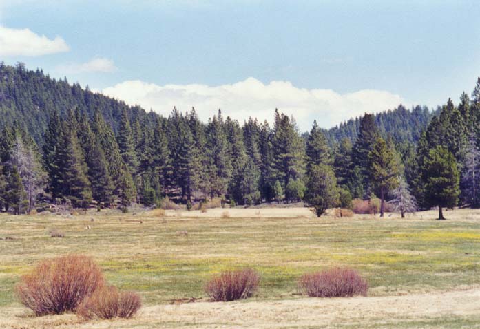 Spooner Meadow Photo 23