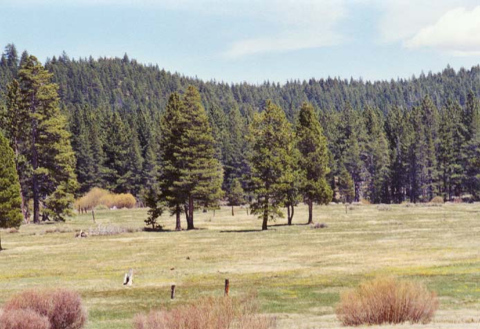 Spooner Meadow Photo 25