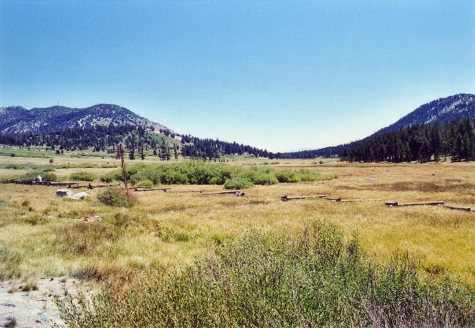 Tahoe Meadows Photo - 2