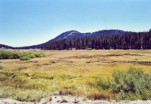 Tahoe Meadows Photo 1
