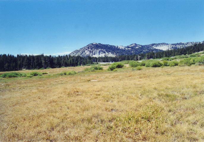 Tahoe Meadows Photo - 10