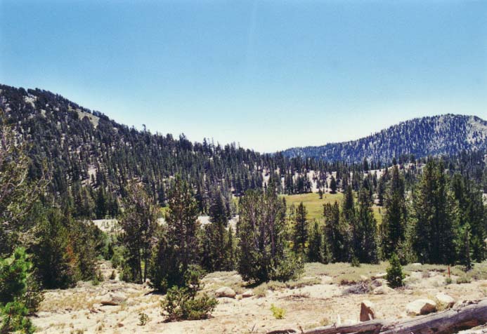 Tahoe Meadows Photo - 30