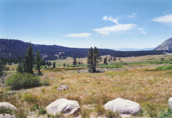 Tahoe Meadows Photo - 5