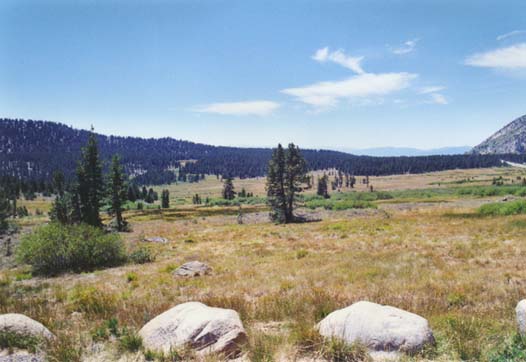 Tahoe Meadows Photo 5