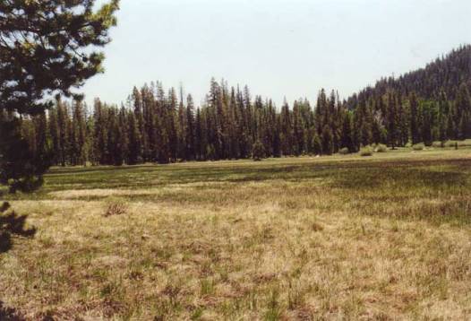 Big Meadow Photo