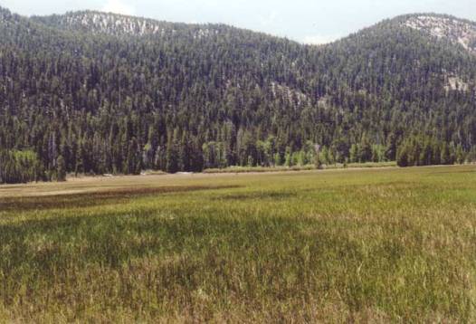 Big Meadow Photo