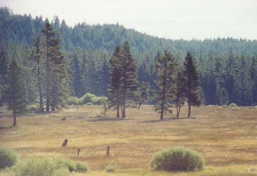 Spooner Meadow Photo - 4