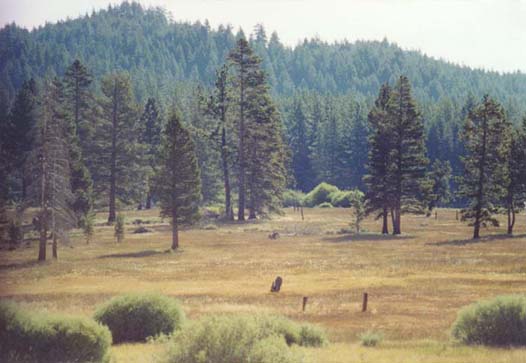 Spooner Meadow Photo - 5