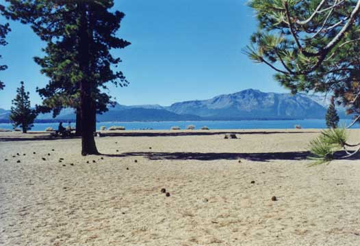 Nevada Beach