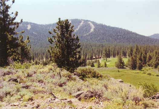 Gooseneck Meadow Photo