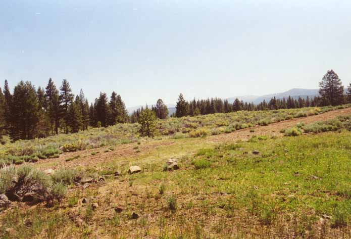 Gooseneck Meadow Photo