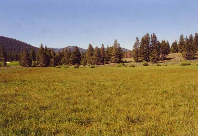 Gooseneck Meadow Photo