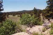 Gooseneck Meadow Photo