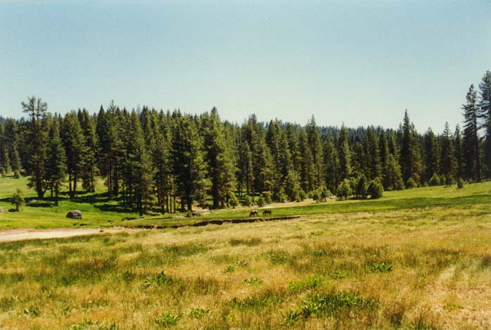 Brown's Meadow Photo