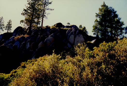 Sonora Pass Photo 5